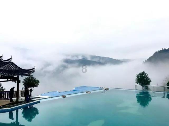 植物大战僵尸17
