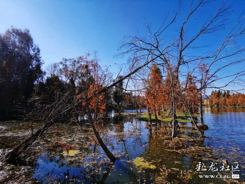 魅族21pro配置曝光:2k+大面积超声波指纹