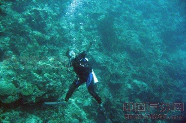 重庆“两高”报告聚焦司法服务保障西部陆海新通道建设